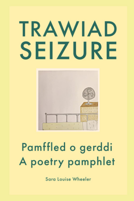 Bundle: Trawiad | Seizure & A Goareig Patchwork Quilt - Sara Louise Wheeler