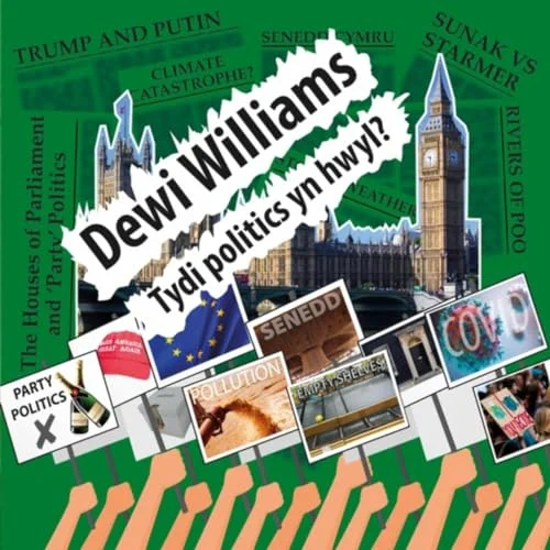 Dewi Williams - Tydi Politics Yn Hwyl?