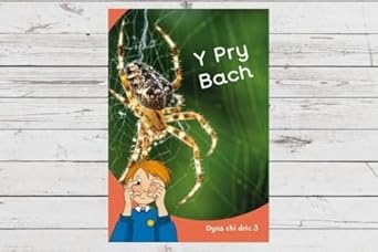 Dyna Chi Dric: Y Pry Bach [Welsh] cover image